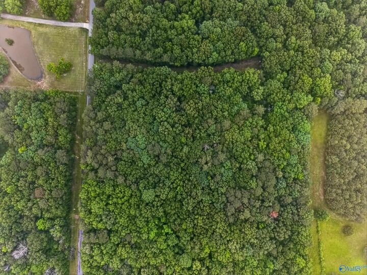 Property Photo: 2 Lots Christopher Avenue AL 35907