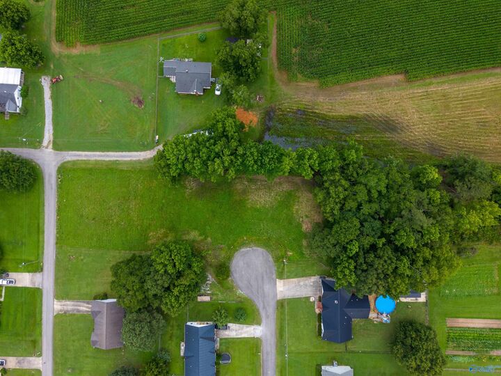 Property Photo:  2 Lots Christopher Avenue  AL 35907 