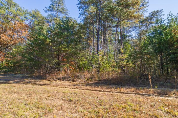 Property Photo:  Allen Dr  VA 23040 