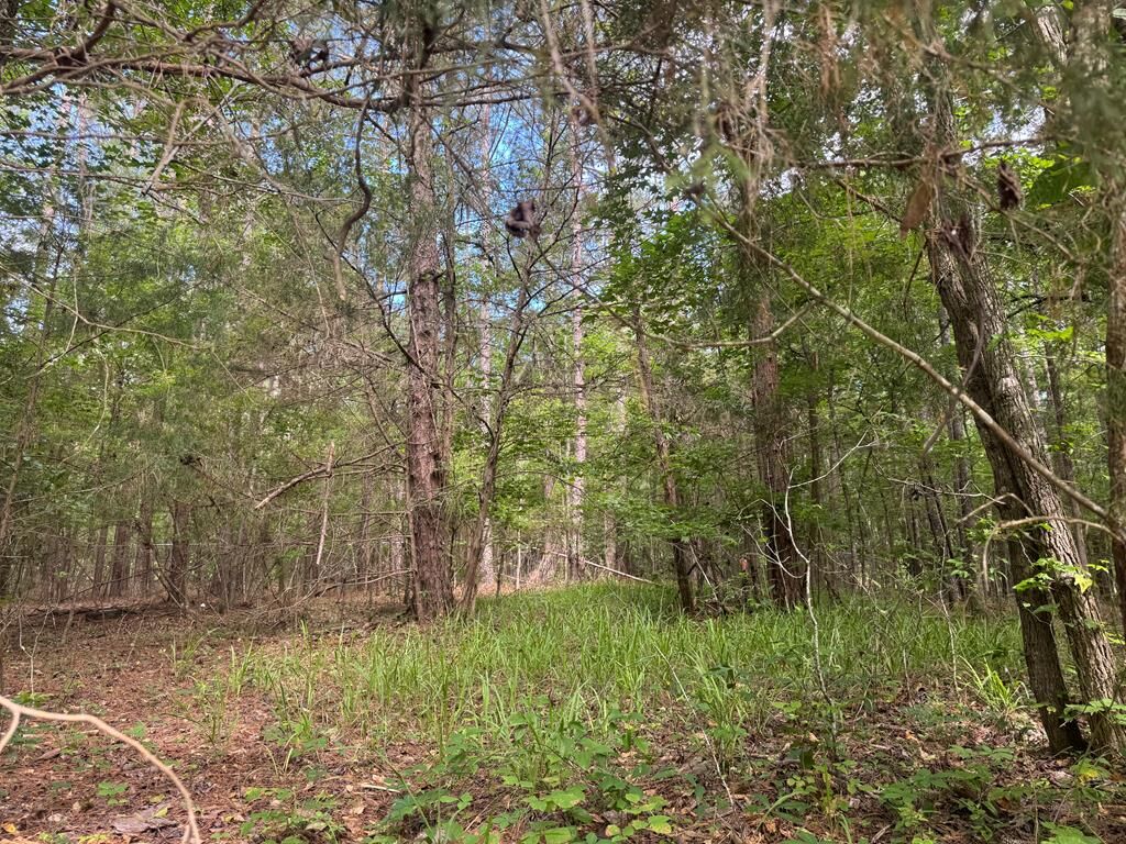 Property Photo:  0 Melody Drive  GA 31831 