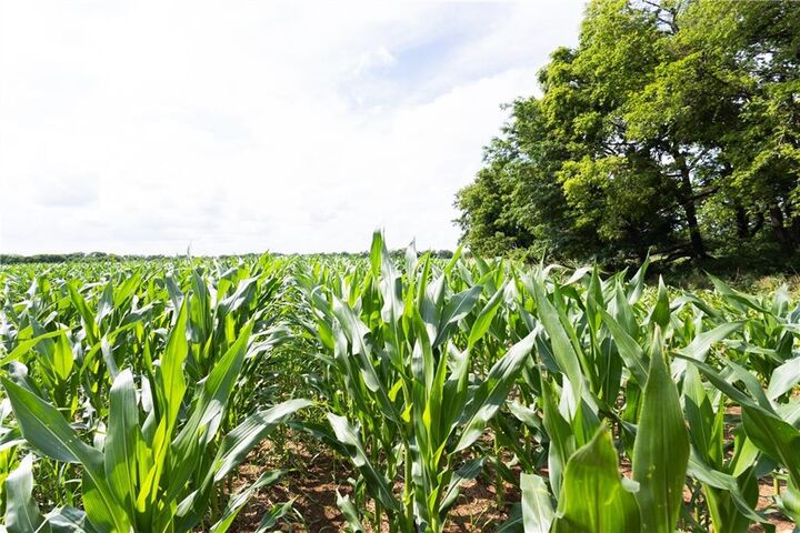 Property Photo:  6000 Road  KS 67342 