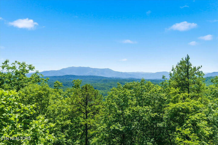 Property Photo: 1846 Blue Tick Way TN 37876