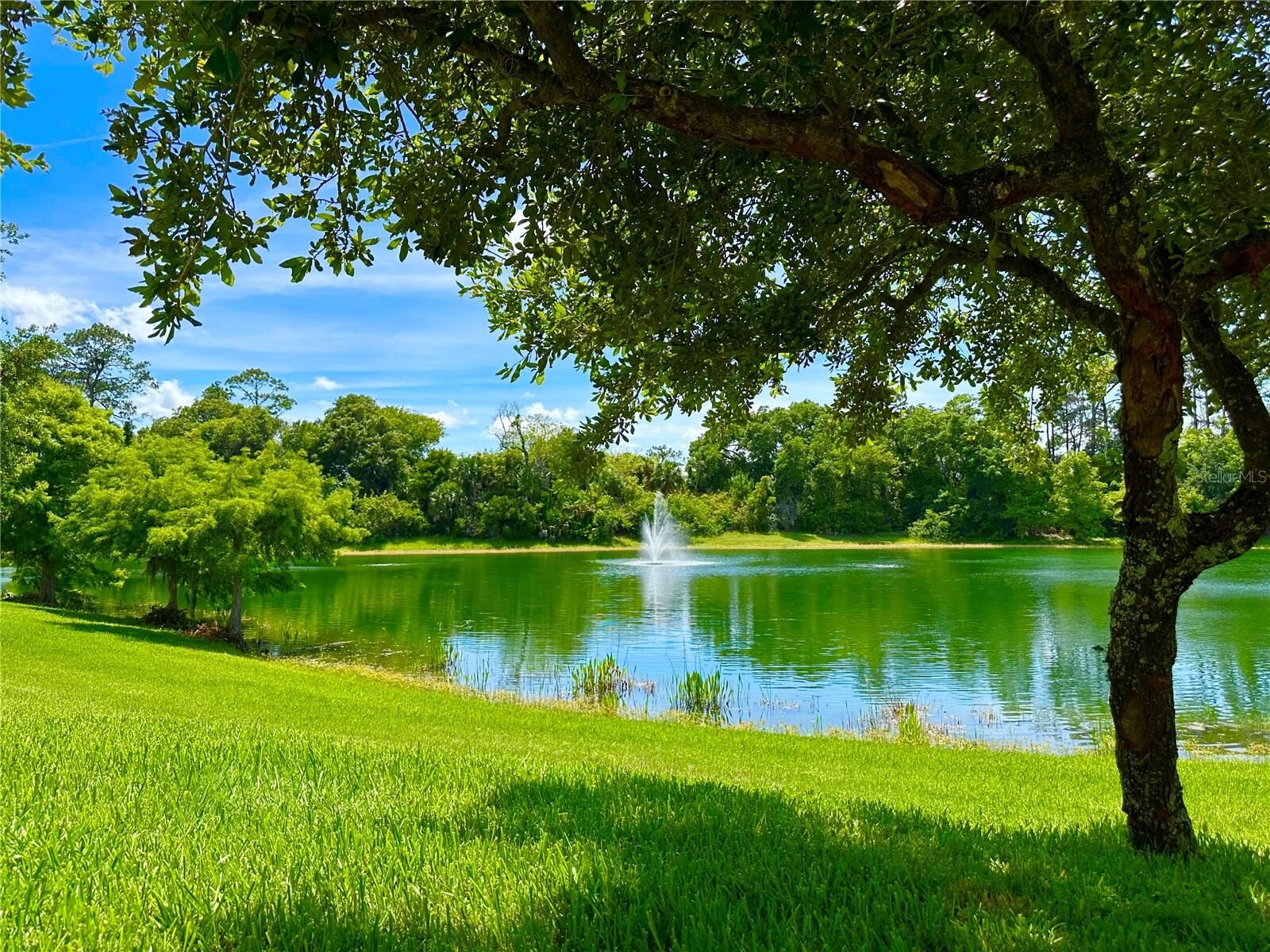 Property Photo:  60 Riverview Bend S 611  FL 32137 