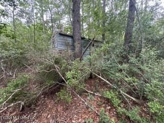 Property Photo:  11102 Coleman Road  MS 39503 