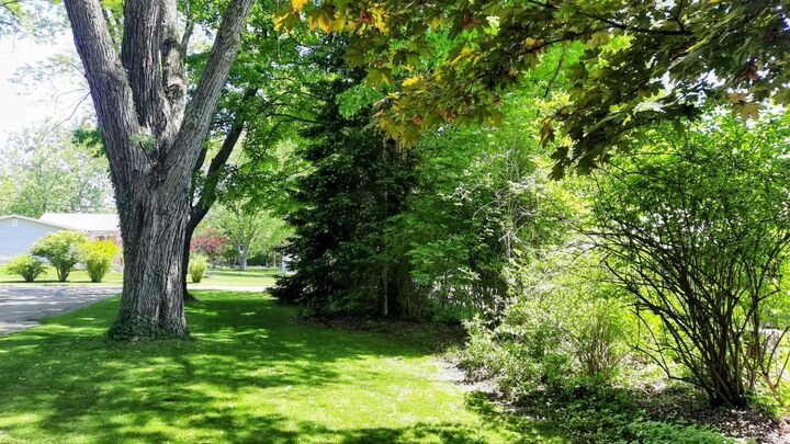 Property Photo: 8052 Schroeder Street MI 49675
