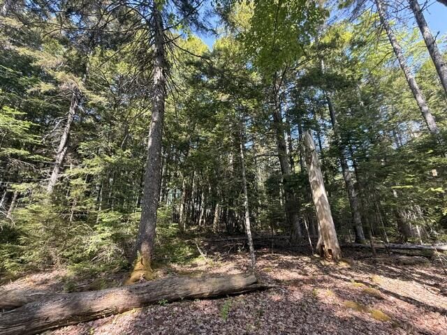 Property Photo:  Lot #17 Sunset Cove Way  ME 04472 