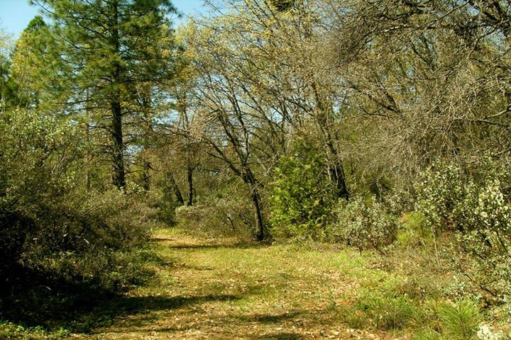Property Photo:  0 Allen Way  CA 95919 