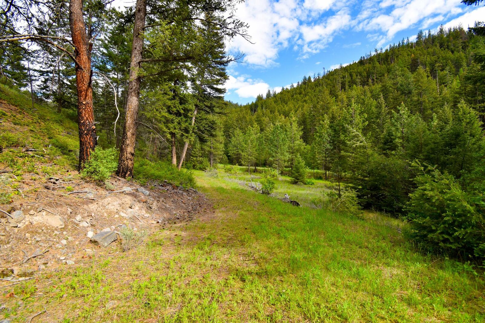 Property Photo:  Tract 1 Henry Creek Road  MT 59859 