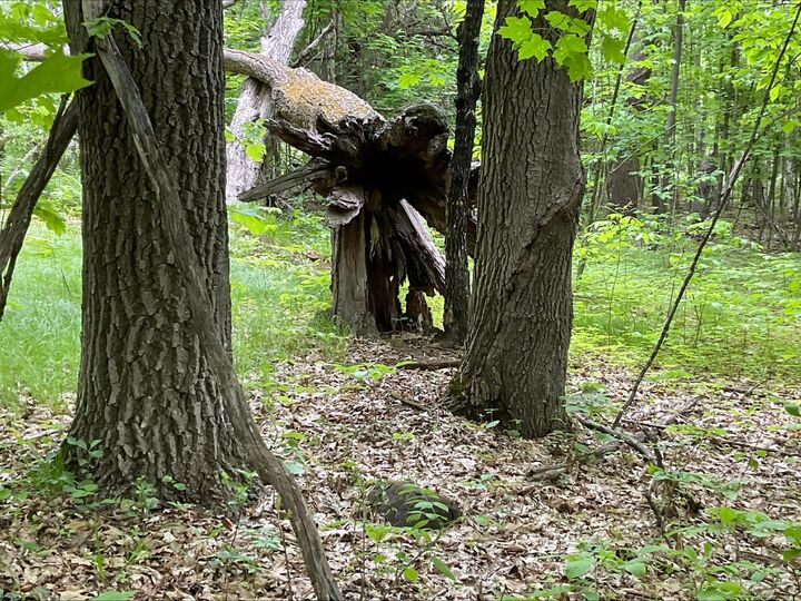 Property Photo: 25945 Pine View Beach Trail MN 55007
