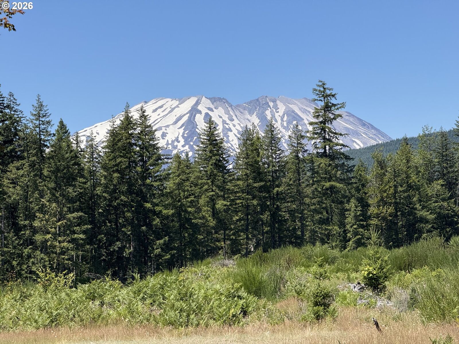 Property Photo:  0 Lahar Ln 9  WA 98616 