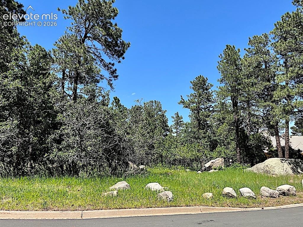 Property Photo: 584 Silver Oak Grove CO 80906
