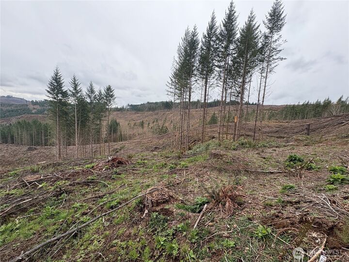 Property Photo:  0  McKee Road  WA 98611 