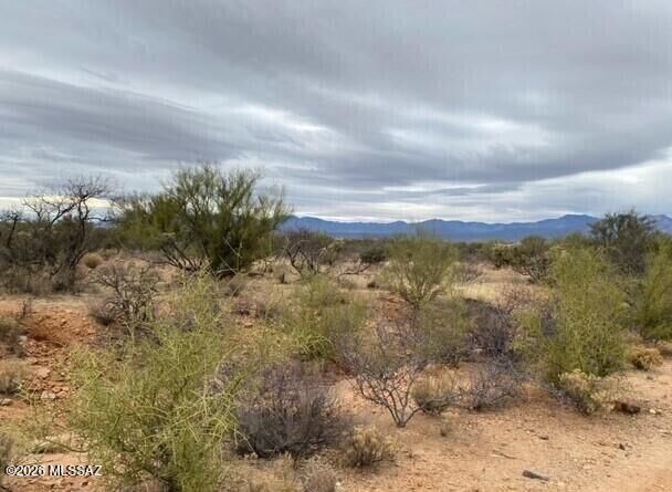 Property Photo: 14921 W Pyle Road 498 AZ 85736