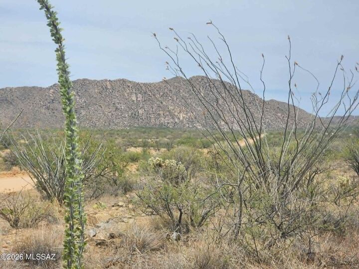 Property Photo:  14921 W Pyle Road 498  AZ 85736 