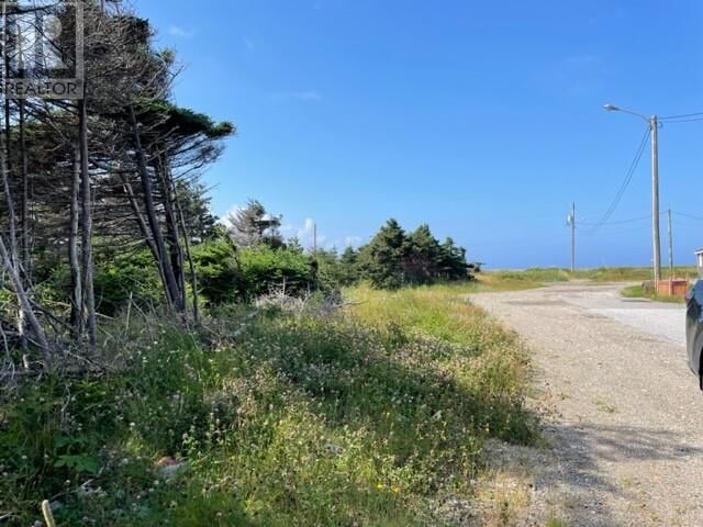 Property Photo:  16 Beach Street  NL A0N 2C0 