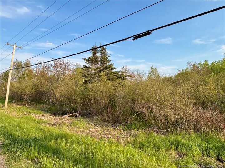 Property Photo:  33.8 Acres Route 310  NB E8T 3K5 