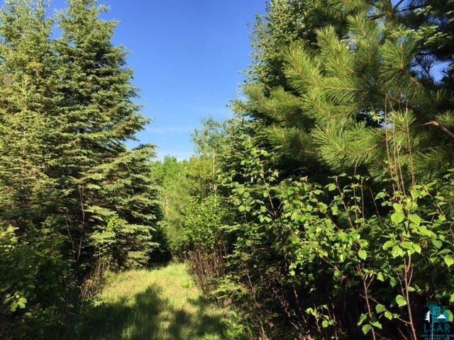 Property Photo:  1142 Camp 20 Rd  MN 55606 