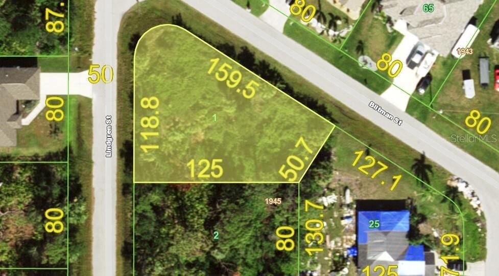 Property Photo: 3428 Lindgreen Street FL 33981