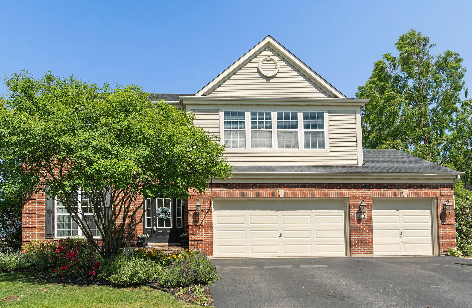 Property Photo:  230 Ian Avenue  IL 60451 