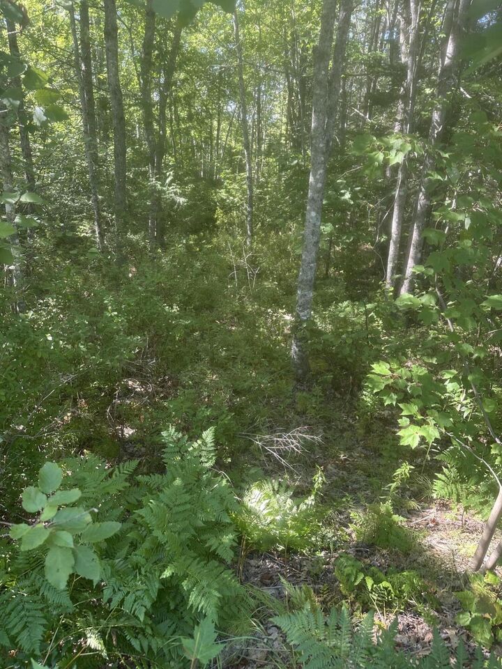 Property Photo: Lot 6 West Unionville Road ME 04680