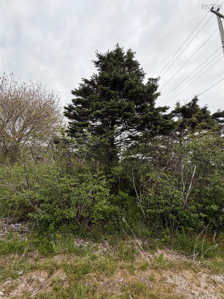 3661 Highway 217 — photo 1