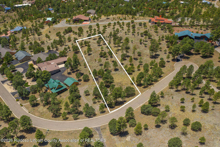 Property Photo:  133 Charles McClellan Drive 4  NM 88345 