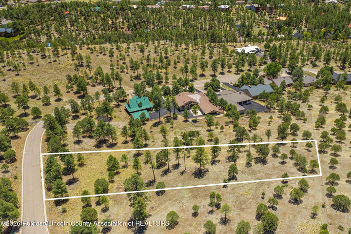 Property Photo:  135 Charles McClellan Drive  NM 88345 