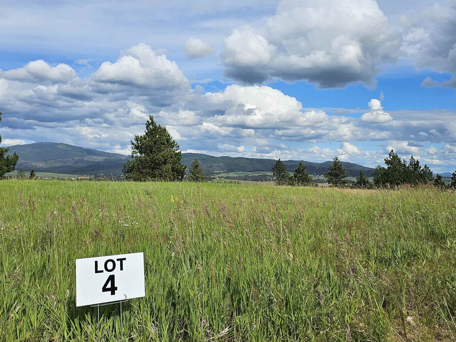 Property Photo: Nna S Sands Rd Lot 4 WA 99036