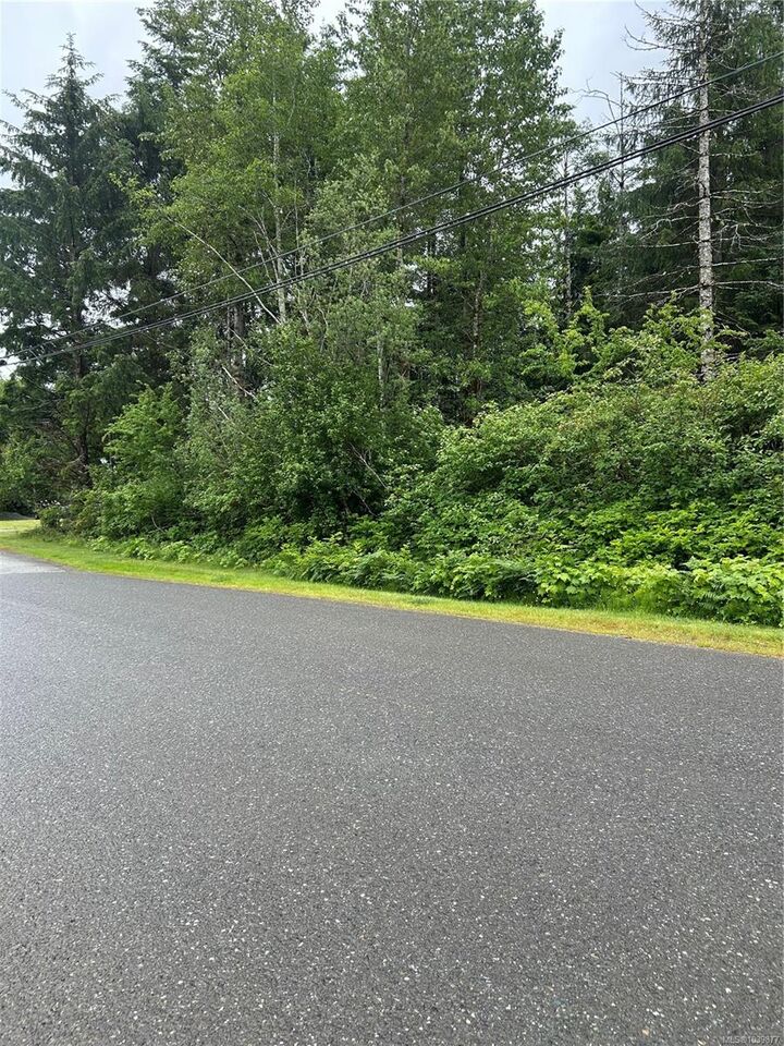 Lot 3 Despins Rd — photo 1