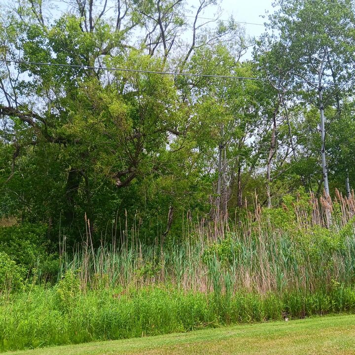 Property Photo:  8590 W Lake Road  PA 16423 