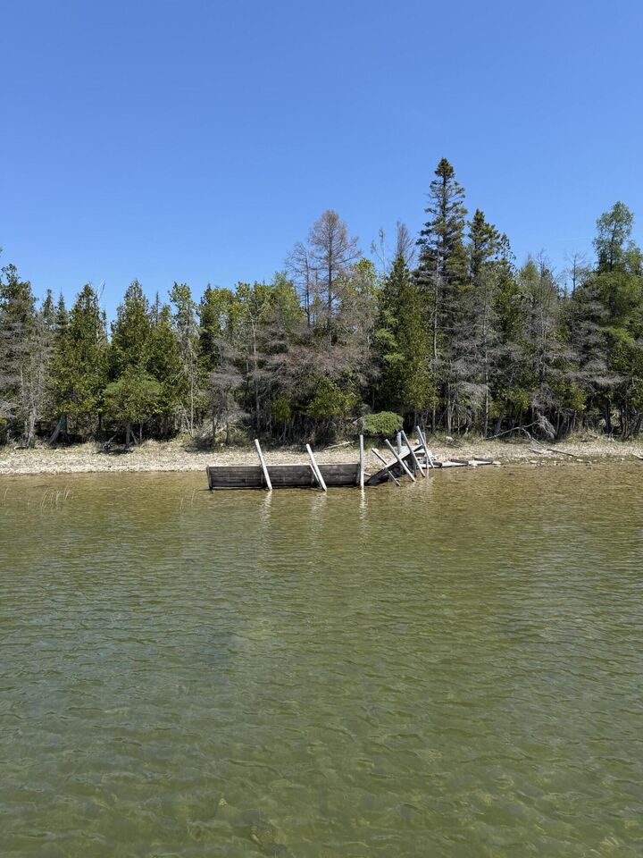 Property Photo:  1916 S Muscallonge Bay Trl  MI 49719 