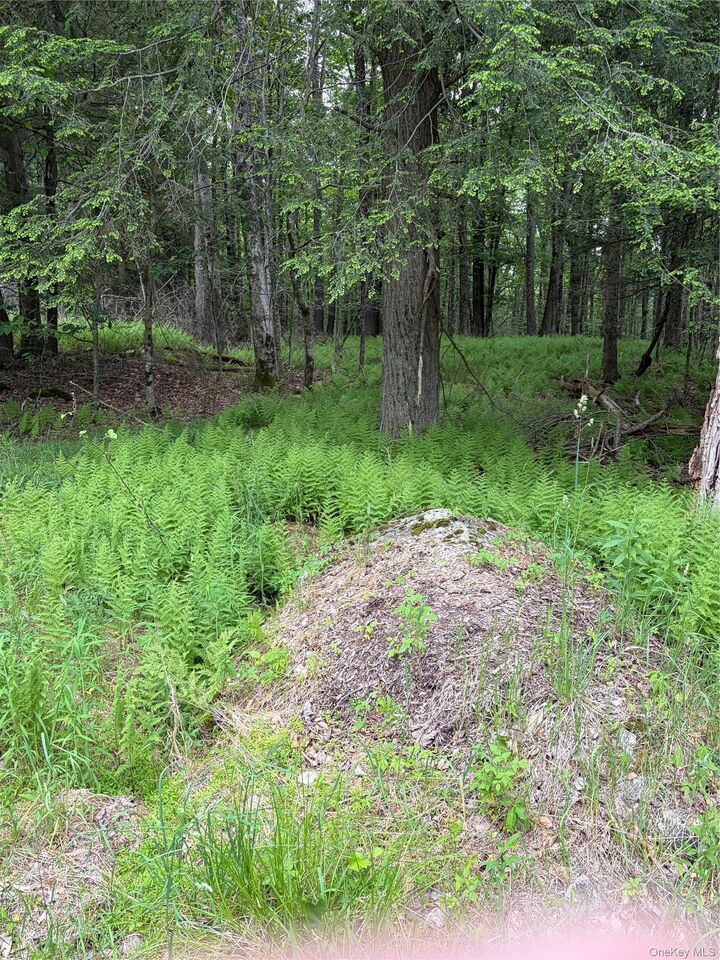 Property Photo: 651 Creamery Road NY 12701
