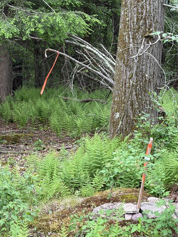 Property Photo:  651 Creamery Road  NY 12701 