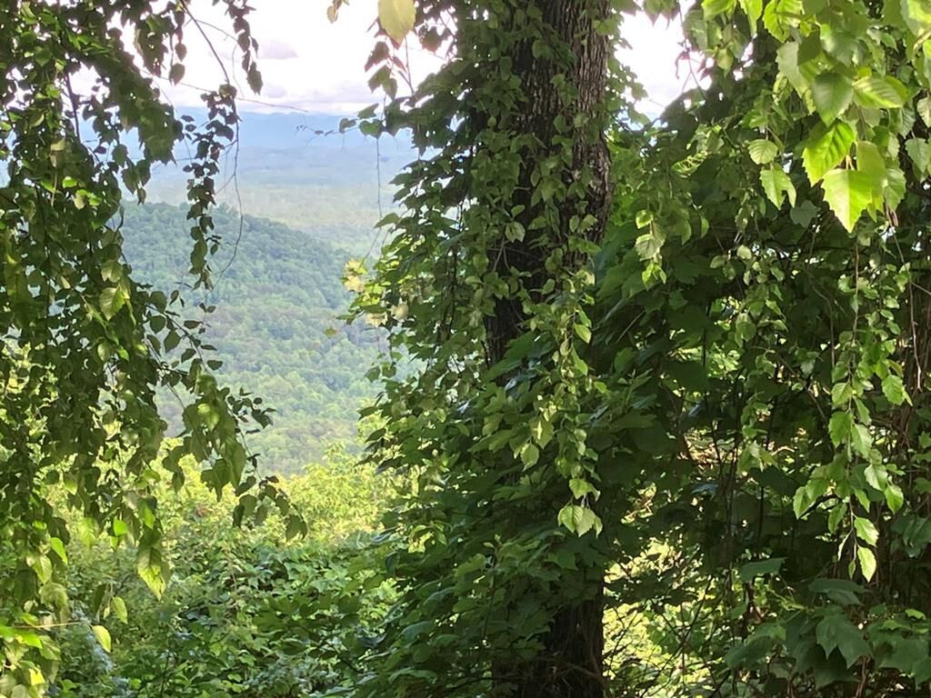 Property Photo:  Lot 51 Buck Ridge Drive  NC 28906 