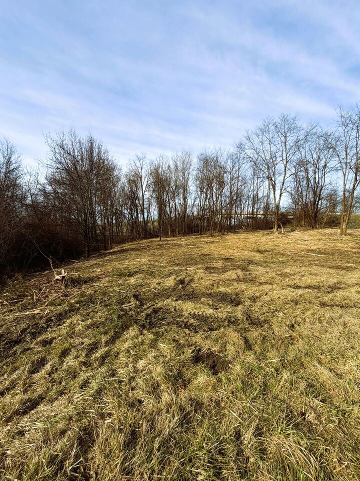 Property Photo: 0.55 Ac N N Main Street KY 41097