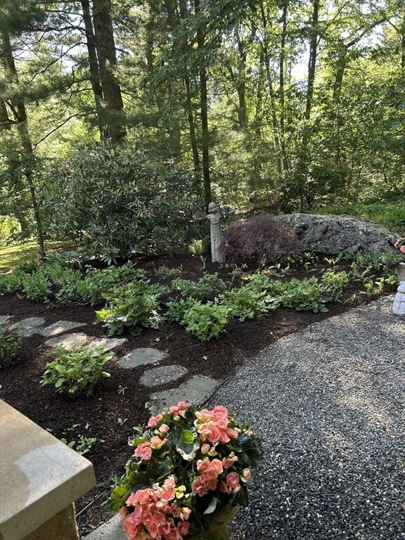 Property Photo: 232 Allandale Road 1C MA 02467