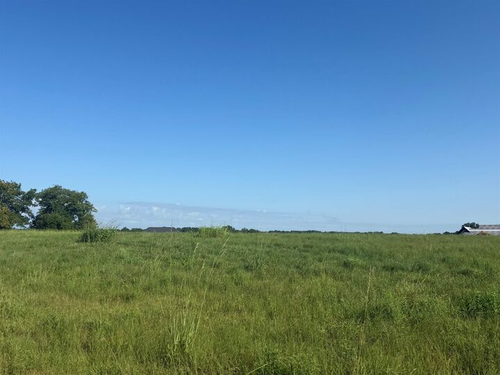Property Photo:  Lot 32 Co Rd 1464  AL 35058 