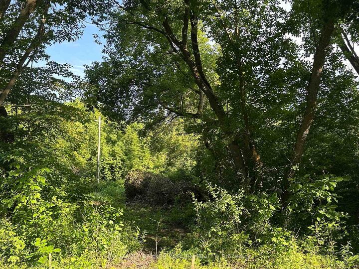 Property Photo:  00 Pittston Road  ON K0E 1X0 