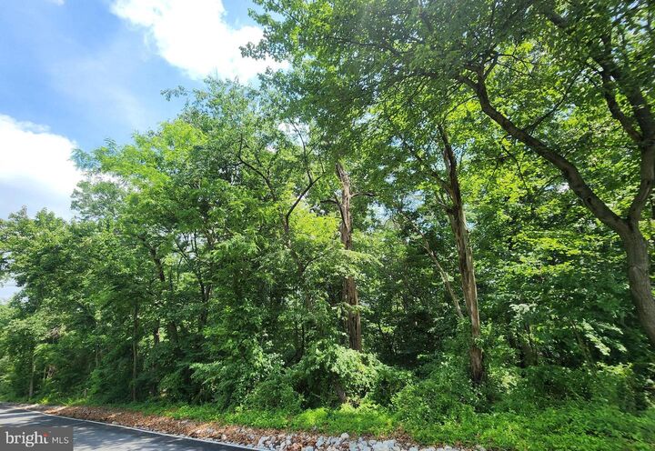 Property Photo:  0 Hemlock Road  PA 17345 