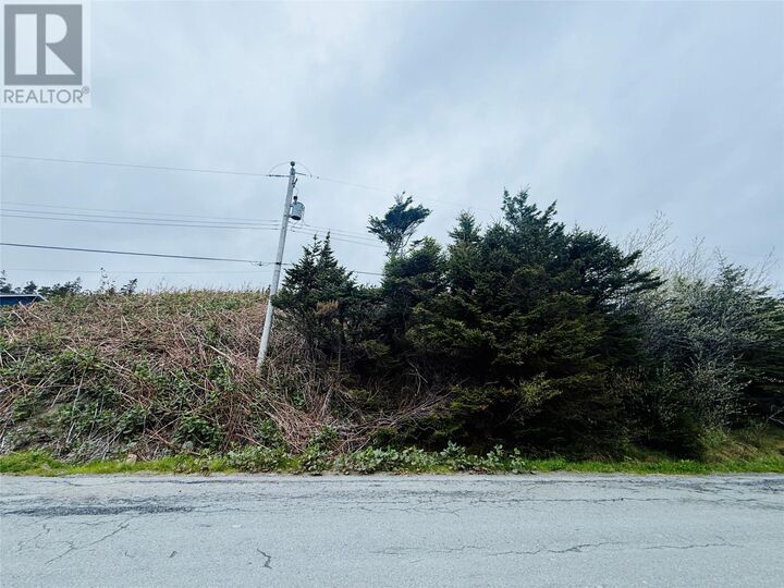 Property Photo:  0 Old Point Verde Road  NL A0B 2Y0 