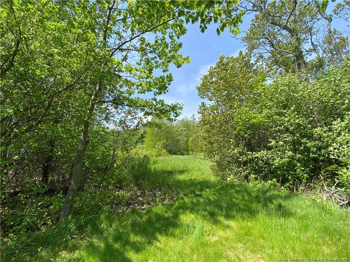 Property Photo:  Lot Route 134  NB E4P 3G9 