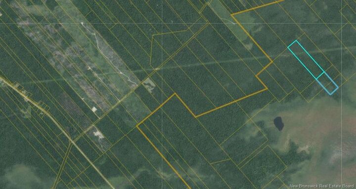Property Photo:  31 Acres Off Dunphy Road  NB E1N 0B4 