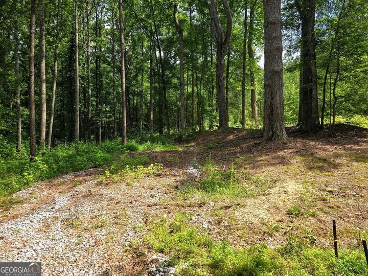 Property Photo:  5 Lots Rome St. &Amp Driver St.  GA 30179 