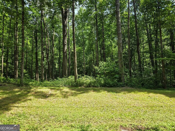 Property Photo:  5 Lots Rome St. &Amp Driver Street  GA 30179 