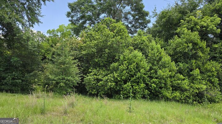 Property Photo: 3328 Rice Mill Road GA 31206