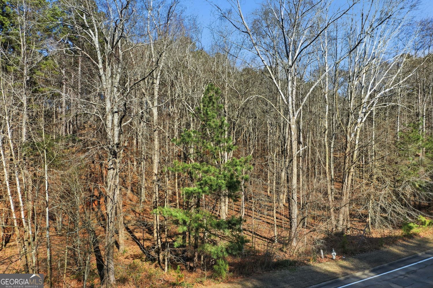 Property Photo:  00 Sixes Road  GA 30114 