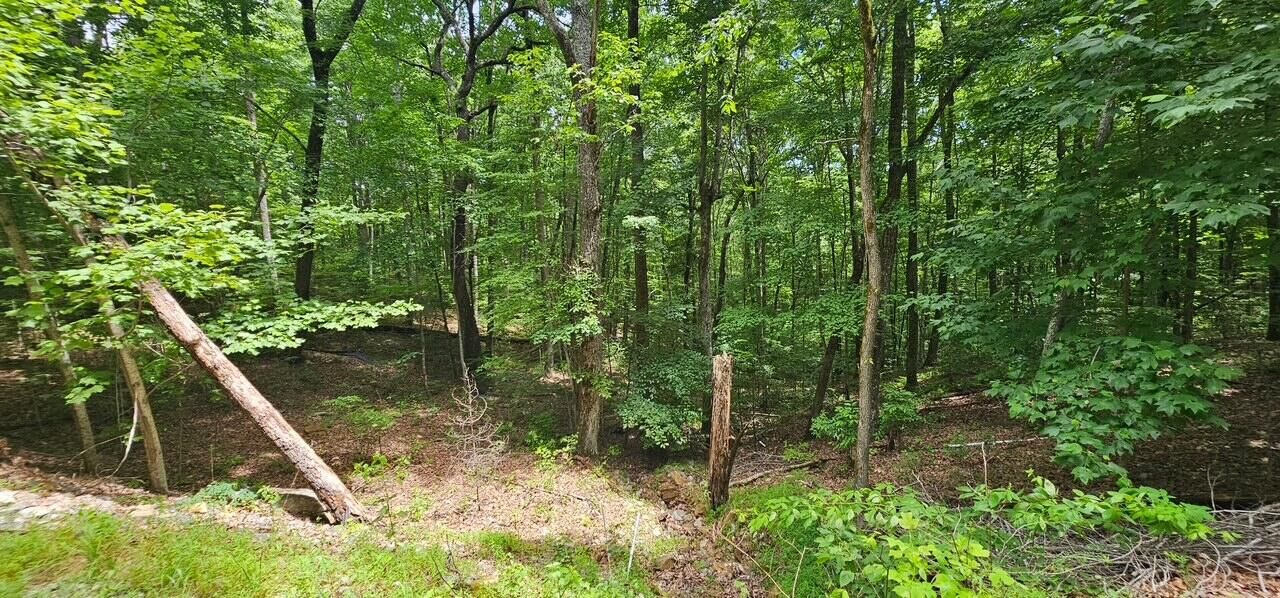 Property Photo:  Lot 555 Oak Leaf Lane  TN 37327 