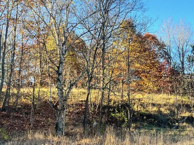 Property Photo: 9955 Wiitala Road MI 49625