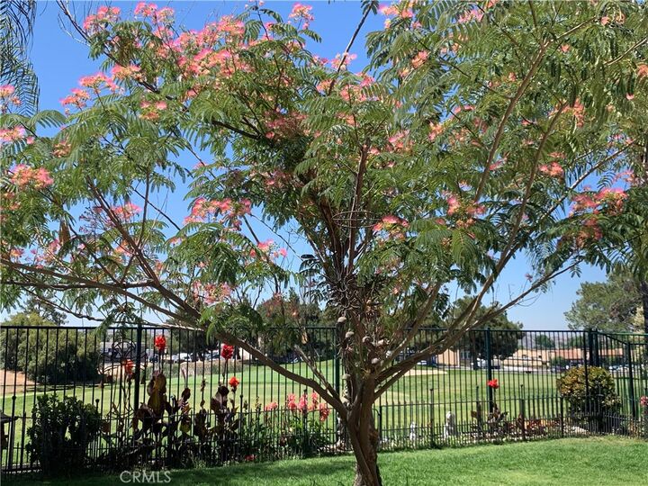 Property Photo: 33111 Eagle Point CA 92399