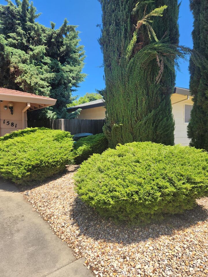 Property Photo:  1581 Valley View Drive  CA 95993 